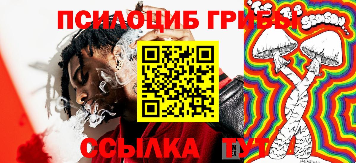 Галлюциногенные грибы ЛСД  Псилоцибиновые грибы Magic Shrooms  Вход с VPN  Волгодонск 